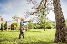 Best Lot and Land Clearing  in Hillsdale, NJ