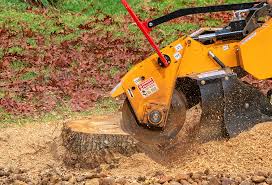 Best Hazardous Tree Removal  in Hillsdale, NJ